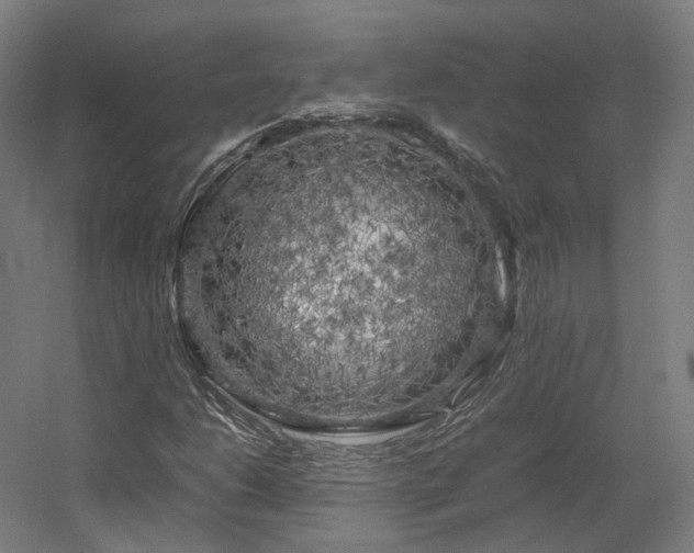 X0000060571206200511031300