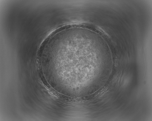 X0000060571208200511031300