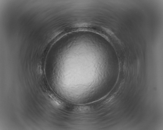 X0000060571209200511031300