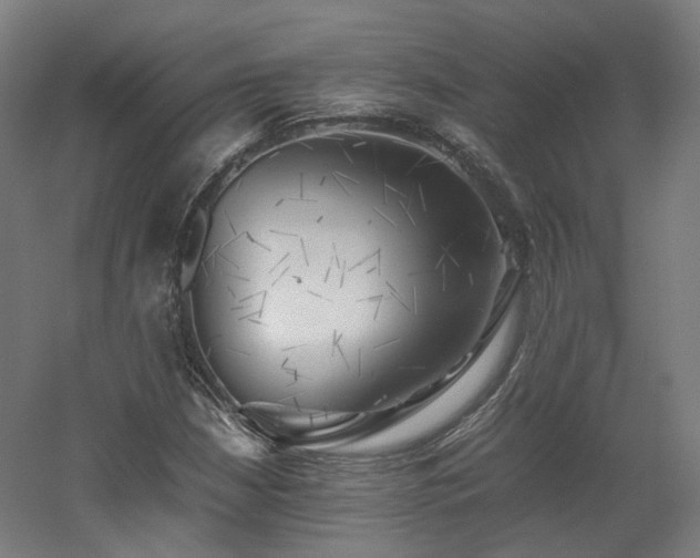 X0000060571210200511031300