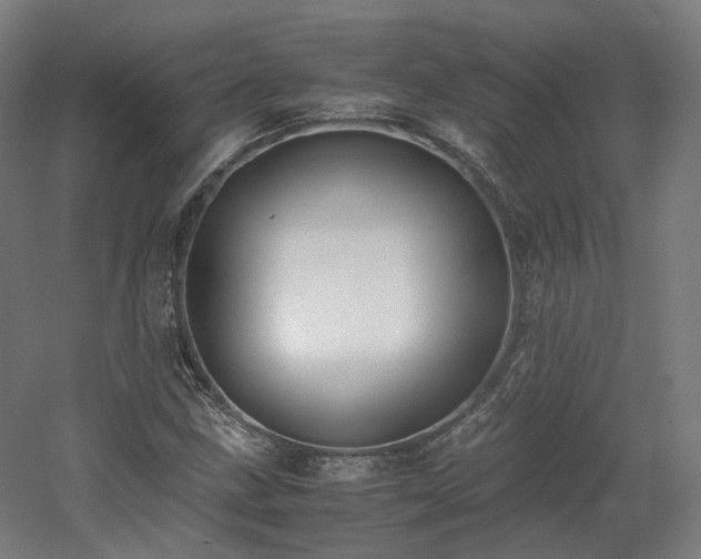 X0000060571211200511031300
