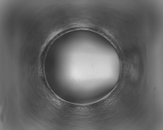 X0000060571215200511031300