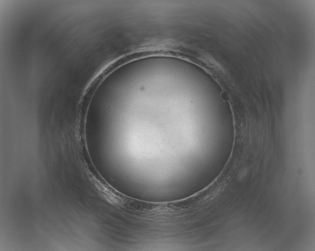 X0000060571216200511031300