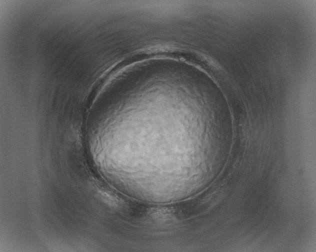 X0000060571217200511031300