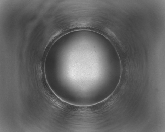X0000060571218200511031300