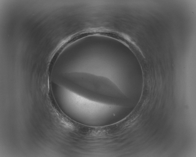 X0000060571221200511031300