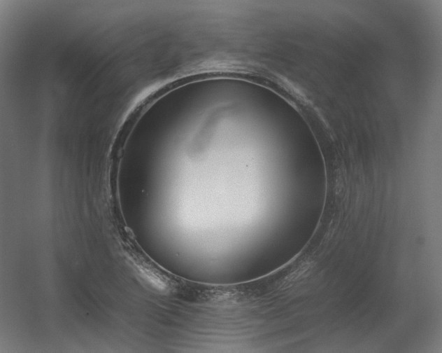 X0000060571222200511031301