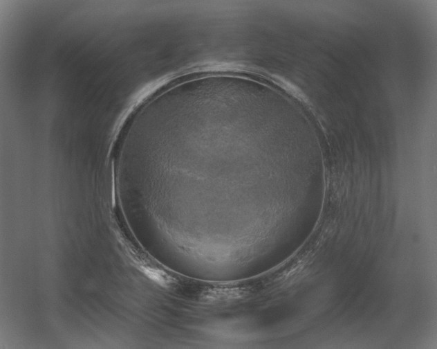 X0000060571223200511031301