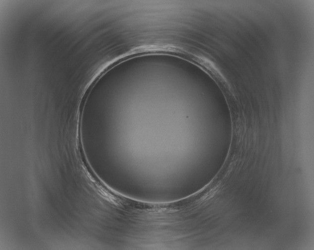 X0000060571228200511031301