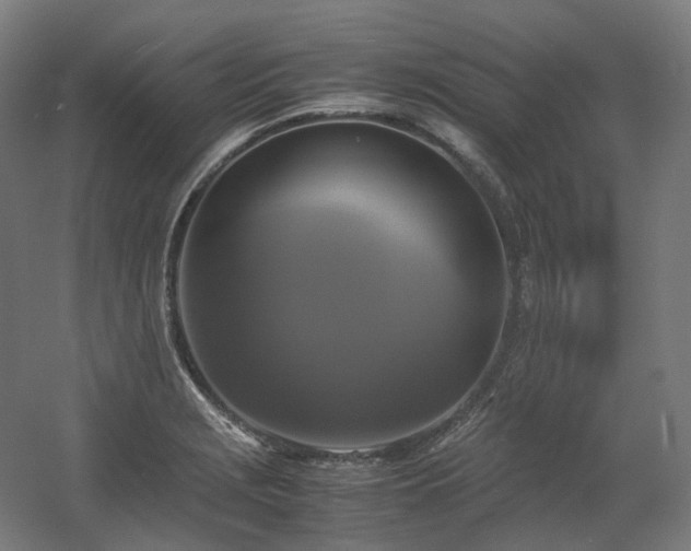 X0000060571229200511031301
