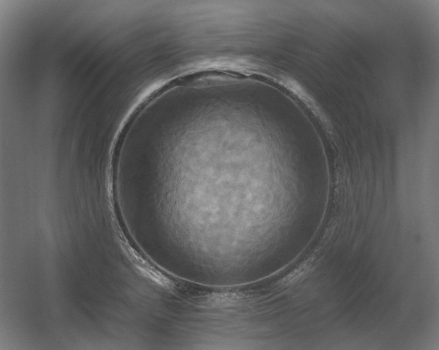 X0000060571232200511031301