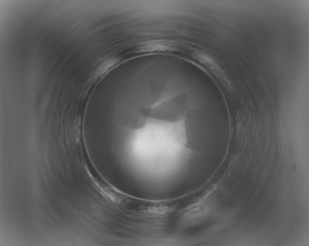 X0000060571233200511031301