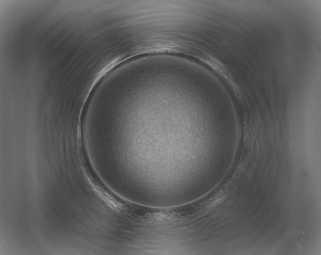 X0000060571234200511031301