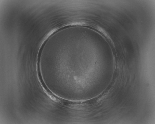 X0000060571237200511031301
