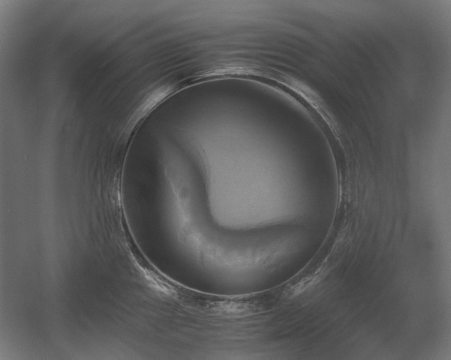 X0000060571241200511031301