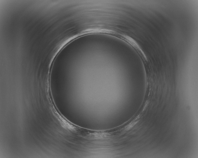 X0000060571244200511031301