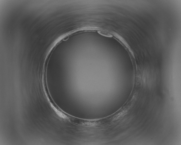 X0000060571245200511031301