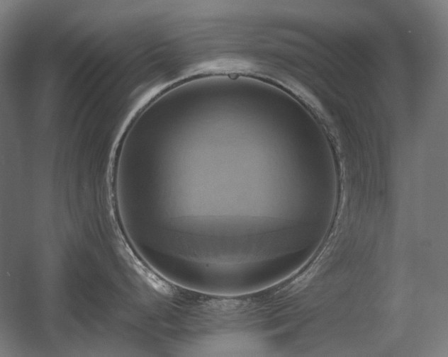 X0000060571248200511031301
