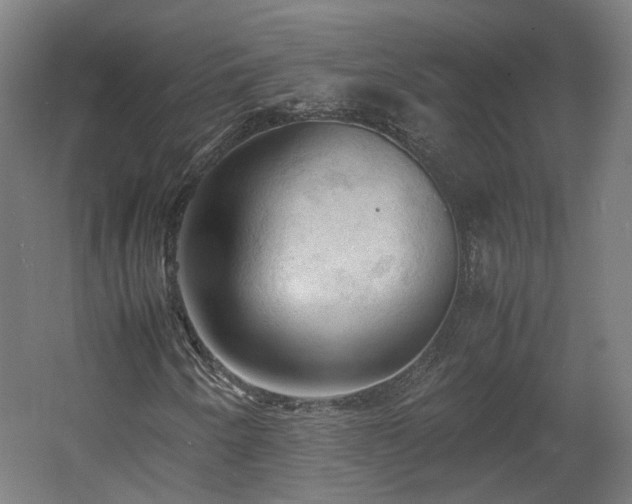 X0000060571250200511031300