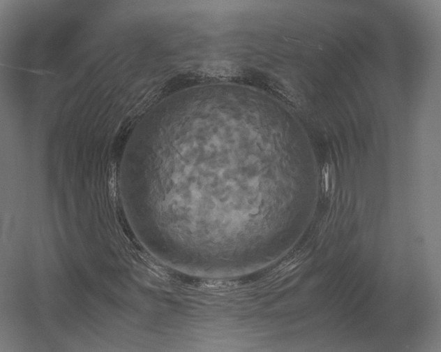 X0000060571251200511031300