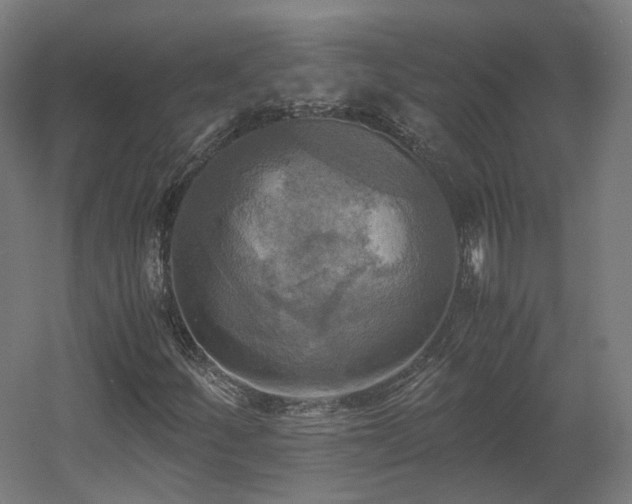 X0000060571252200511031300