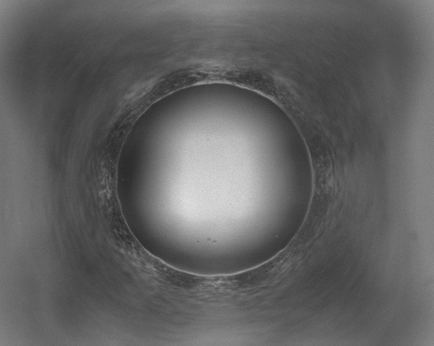 X0000060571253200511031300