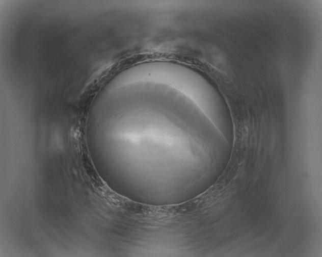 X0000060571254200511031300