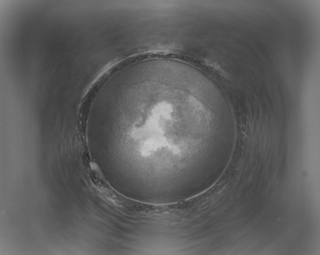 X0000060571256200511031300