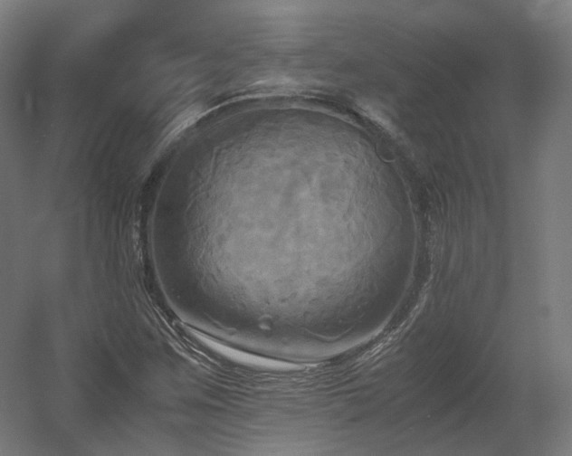 X0000060571259200511031300