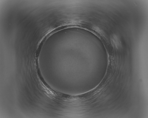 X0000060571260200511031300
