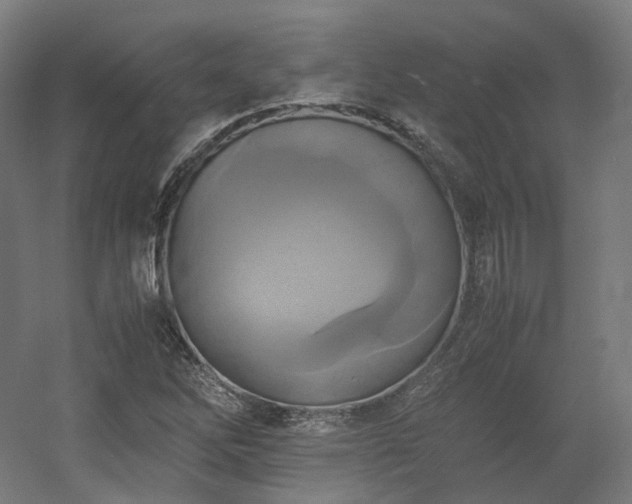 X0000060571262200511031300