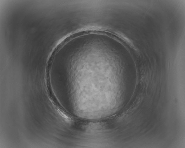 X0000060571264200511031300