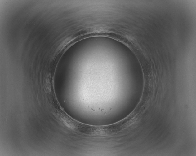 X0000060571265200511031300