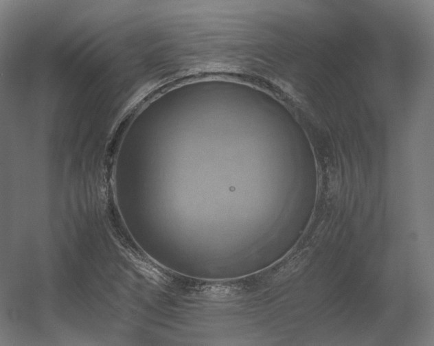 X0000060571266200511031300