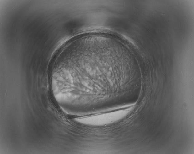 X0000060571267200511031300
