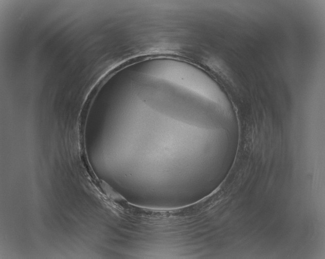 X0000060571268200511031300