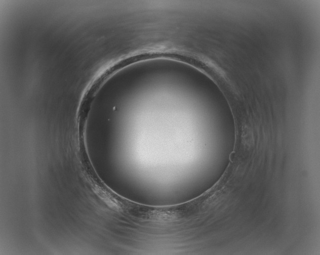 X0000060571270200511031300
