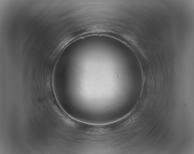X0000060571273200511031300
