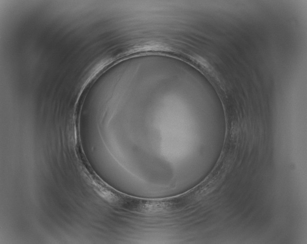 X0000060571274200511031300