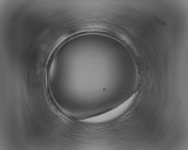 X0000060571275200511031300