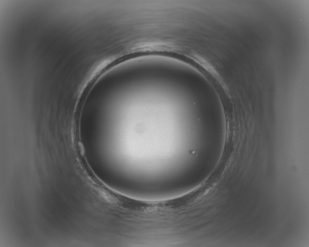 X0000060571277200511031300