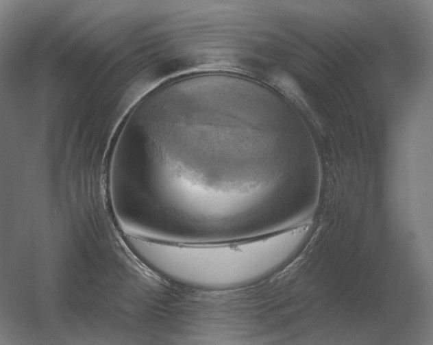 X0000060571284200511031300