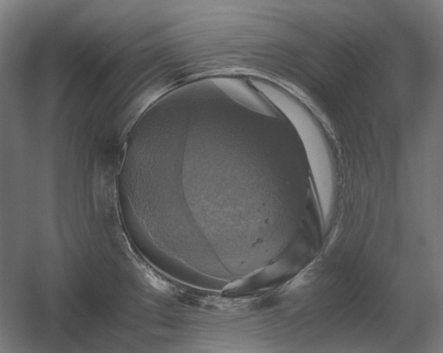 X0000060571289200511031259