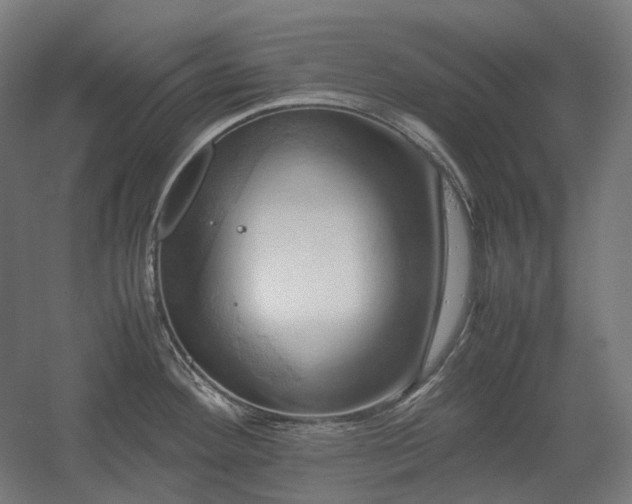 X0000060571292200511031259