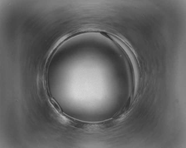 X0000060571293200511031259