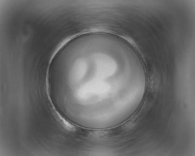 X0000060571294200511031259