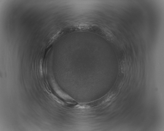 X0000060571298200511031259