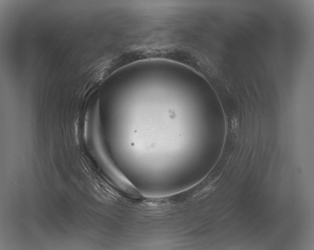 X0000060571300200511031259