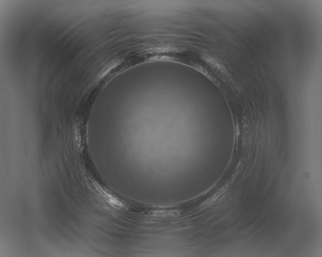 X0000060571305200511031259