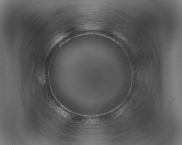 X0000060571306200511031259